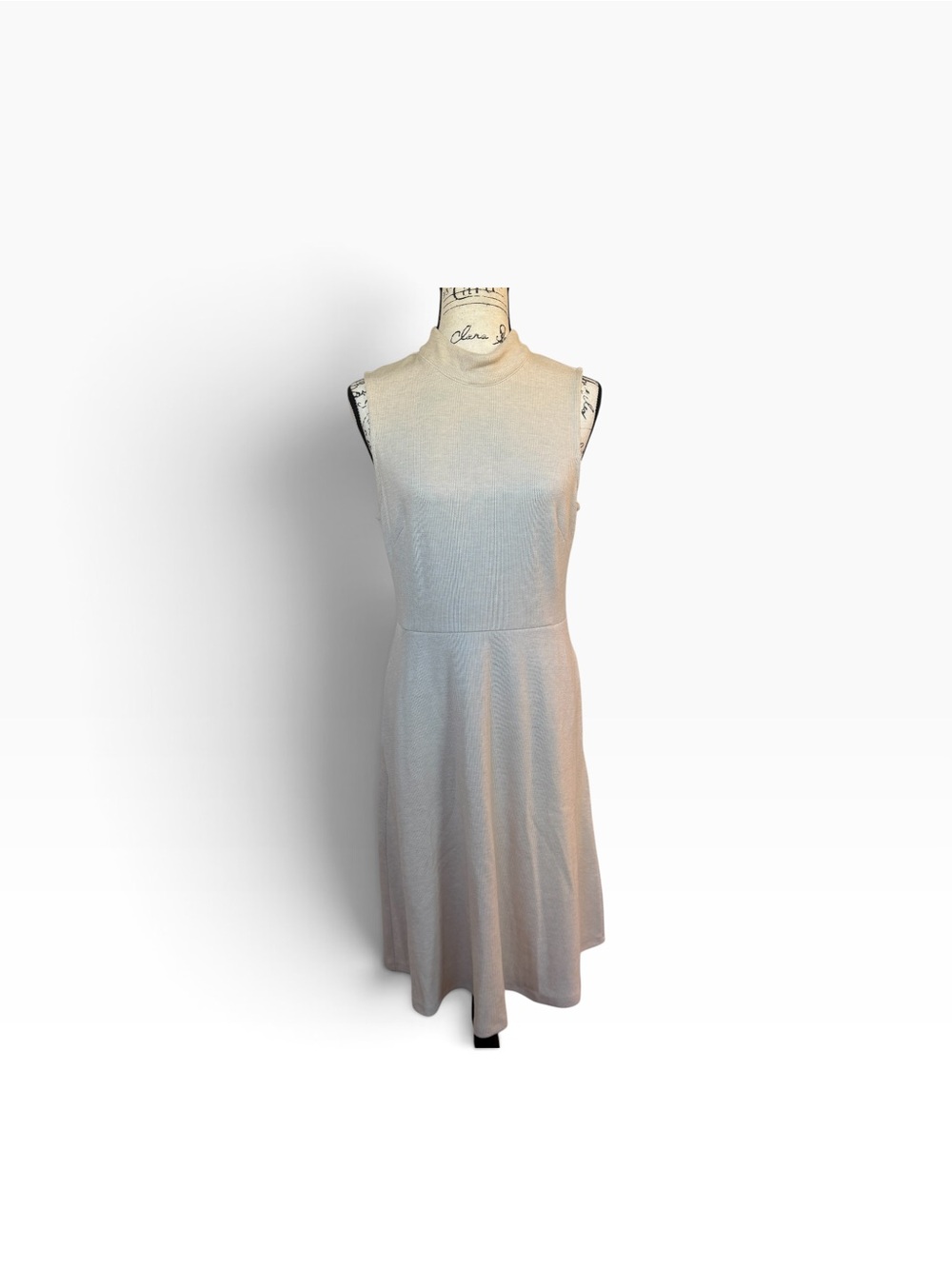 Maggy London Winn Sleeveless High-Neck A-Line Dress